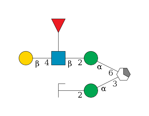 b1D-Man,p/#acleavage_1_5(--3a1D-Man,p--2b1D-GlcNAc,p/#zcleavage)--6a1D-Man,p--2b1D-GlcNAc,p(--4b1D-Gal,p)--??1L-Fuc,p$MONO,Und,-H,0,redEnd