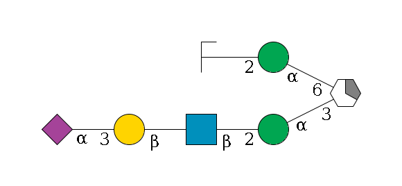 b1D-Man,p/#acleavage_1_5(--3a1D-Man,p--2b1D-GlcNAc,p--?b1D-Gal,p--3a2D-NeuAc,p)--6a1D-Man,p--2b1D-GlcNAc,p/#zcleavage$MONO,Und,-H,0,redEnd