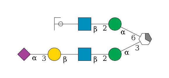 b1D-Man,p/#acleavage_1_5(--3a1D-Man,p--2b1D-GlcNAc,p--?b1D-Gal,p--3a2D-NeuAc,p)--6a1D-Man,p--2b1D-GlcNAc,p--?b1D-Gal,p/#ycleavage$MONO,Und,-2H,0,redEnd