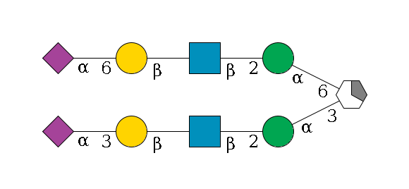 b1D-Man,p/#acleavage_1_5(--3a1D-Man,p--2b1D-GlcNAc,p--?b1D-Gal,p--3a2D-NeuAc,p)--6a1D-Man,p--2b1D-GlcNAc,p--?b1D-Gal,p--6a2D-NeuAc,p$MONO,Und,-H,0,redEnd