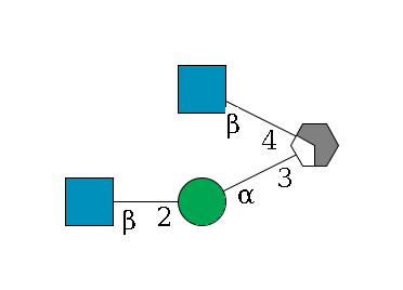 b1D-Man,p/#acleavage_2_4(--3a1D-Man,p--2b1D-GlcNAc,p)--4b1D-GlcNAc,p$MONO,Und,-H,0,redEnd
