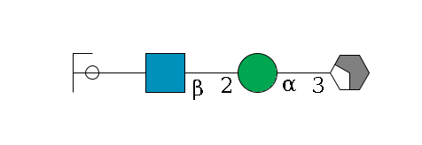 b1D-Man,p/#acleavage_2_4--3a1D-Man,p--2b1D-GlcNAc,p--?b1D-Gal,p/#ycleavage$MONO,Und,-H,0,redEnd