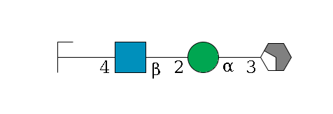 b1D-Man,p/#acleavage_2_4--3a1D-Man,p--2b1D-GlcNAc,p--4b1D-Gal,p/#zcleavage$MONO,Und,-H,0,redEnd