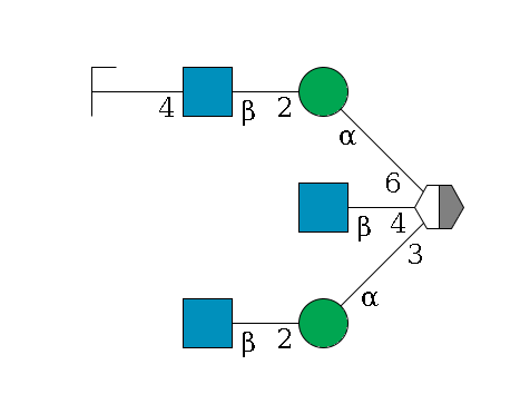 b1D-Man,p/#acleavage_2_5((--3a1D-Man,p--2b1D-GlcNAc,p)--4b1D-GlcNAc,p)--6a1D-Man,p--2b1D-GlcNAc,p--4b1D-Gal,p/#zcleavage$MONO,Und,-2H,0,redEnd