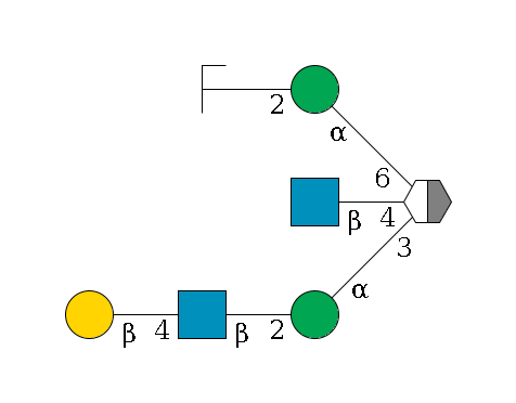 b1D-Man,p/#acleavage_2_5((--3a1D-Man,p--2b1D-GlcNAc,p--4b1D-Gal,p)--4b1D-GlcNAc,p)--6a1D-Man,p--2b1D-GlcNAc,p/#zcleavage$MONO,Und,-H,0,redEnd