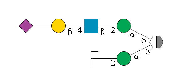 b1D-Man,p/#acleavage_2_5(--3a1D-Man,p--2b1D-GlcNAc,p/#zcleavage)--6a1D-Man,p--2b1D-GlcNAc,p--4b1D-Gal,p--??2D-NeuAc,p$MONO,Und,-H,0,redEnd
