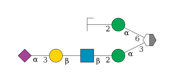 b1D-Man,p/#acleavage_2_5(--3a1D-Man,p--2b1D-GlcNAc,p--?b1D-Gal,p--3a2D-NeuAc,p)--6a1D-Man,p--2b1D-GlcNAc,p/#zcleavage$MONO,Und,-2H,0,redEnd