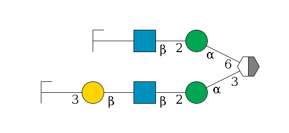 b1D-Man,p/#acleavage_2_5(--3a1D-Man,p--2b1D-GlcNAc,p--?b1D-Gal,p--3a2D-NeuAc,p/#zcleavage)--6a1D-Man,p--2b1D-GlcNAc,p--?b1D-Gal,p/#zcleavage$MONO,Und,-H,0,redEnd