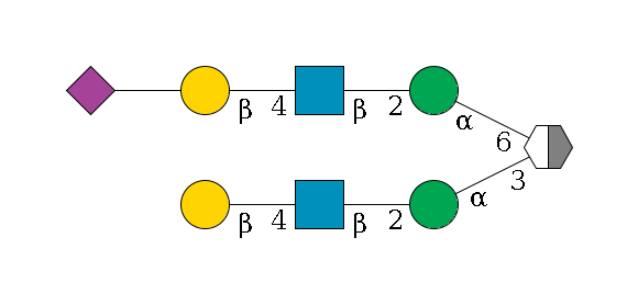 b1D-Man,p/#acleavage_2_5(--3a1D-Man,p--2b1D-GlcNAc,p--4b1D-Gal,p)--6a1D-Man,p--2b1D-GlcNAc,p--4b1D-Gal,p--??2D-NeuAc,p$MONO,Und,-2H,0,redEnd