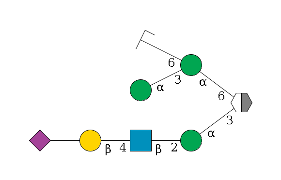 b1D-Man,p/#acleavage_2_5(--3a1D-Man,p--2b1D-GlcNAc,p--4b1D-Gal,p--??2D-NeuAc,p)--6a1D-Man,p(--3a1D-Man,p)--6a1D-Man,p/#zcleavage$MONO,Und,-2H,0,redEnd