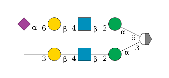 b1D-Man,p/#acleavage_2_5(--3a1D-Man,p--2b1D-GlcNAc,p--4b1D-Gal,p--3a2D-NeuAc,p/#zcleavage)--6a1D-Man,p--2b1D-GlcNAc,p--4b1D-Gal,p--6a2D-NeuAc,p$MONO,Und,-2H,0,redEnd