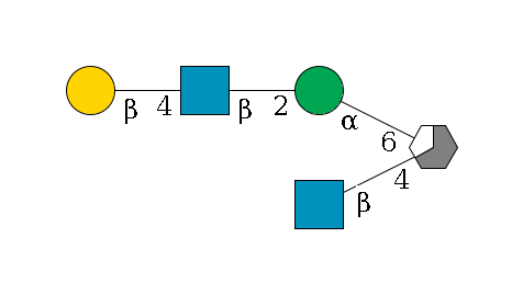 b1D-Man,p/#acleavage_3_5(--4b1D-GlcNAc,p)--6a1D-Man,p--2b1D-GlcNAc,p--4b1D-Gal,p$MONO,Und,-H,0,redEnd
