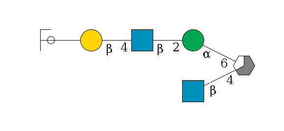 b1D-Man,p/#acleavage_3_5(--4b1D-GlcNAc,p)--6a1D-Man,p--2b1D-GlcNAc,p--4b1D-Gal,p--??2D-NeuAc,p/#ycleavage$MONO,Und,-H,0,redEnd