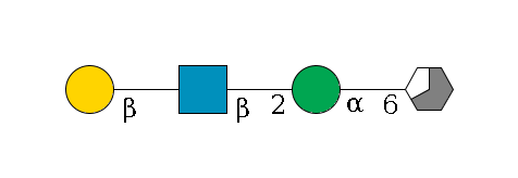 b1D-Man,p/#acleavage_3_5--6a1D-Man,p--2b1D-GlcNAc,p--?b1D-Gal,p$MONO,Und,-H,0,redEnd