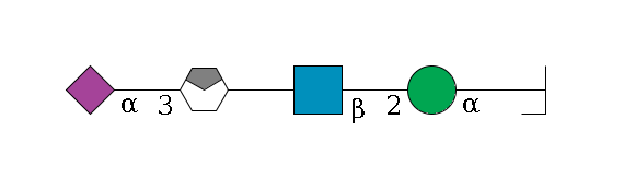 b1D-Man,p/#bcleavage--3a1D-Man,p--2b1D-GlcNAc,p--?b1D-Gal,p/#xcleavage_0_4--3a2D-NeuAc,p$MONO,Und,-H,0,redEnd