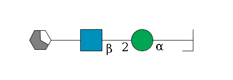 b1D-Man,p/#bcleavage--3a1D-Man,p--2b1D-GlcNAc,p--?b1D-Gal,p/#xcleavage_1_5$MONO,Und,-H,0,redEnd