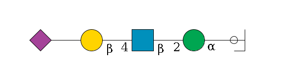 b1D-Man,p/#ccleavage--3a1D-Man,p--2b1D-GlcNAc,p--4b1D-Gal,p--??2D-NeuAc,p$MONO,Und,-H,0,redEnd