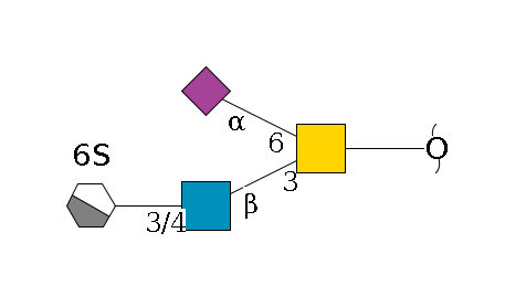 redEnd--??1D-GalNAc,o(--3b1D-GlcNAc,p--3/4b1D-Gal,p/#xcleavage_1_4--6?1S)--6a2D-NeuAc,p$MONO,Und,-H,0,redEnd