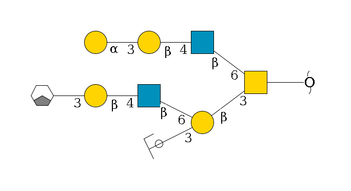 redEnd--??1D-GalNAc,p(--3b1D-Gal,p(--3b1D-GlcNAc,p/#ycleavage)--6b1D-GlcNAc,p--4b1D-Gal,p--3a1D-Gal,p/#xcleavage_1_3)--6b1D-GlcNAc,p--4b1D-Gal,p--3a1D-Gal,p$MONO,Und,-2H,0,redEnd