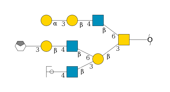 redEnd--??1D-GalNAc,p(--3b1D-Gal,p(--3b1D-GlcNAc,p--4b1D-Gal,p/#ycleavage)--6b1D-GlcNAc,p--4b1D-Gal,p--3a1D-Gal,p/#xcleavage_0_4)--6b1D-GlcNAc,p--4b1D-Gal,p--3a1D-Gal,p$MONO,Und,-2H,0,redEnd