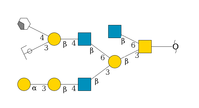 redEnd--??1D-GalNAc,p(--3b1D-Gal,p(--3b1D-GlcNAc,p--4b1D-Gal,p--3a1D-Gal,p)--6b1D-GlcNAc,p--4b1D-Gal,p(--3a2D-NeuGc,p/#ycleavage)--4b1D-GalNAc,p/#xcleavage_2_4)--6b1D-GlcNAc,p$MONO,Und,-2H,0,redEnd
