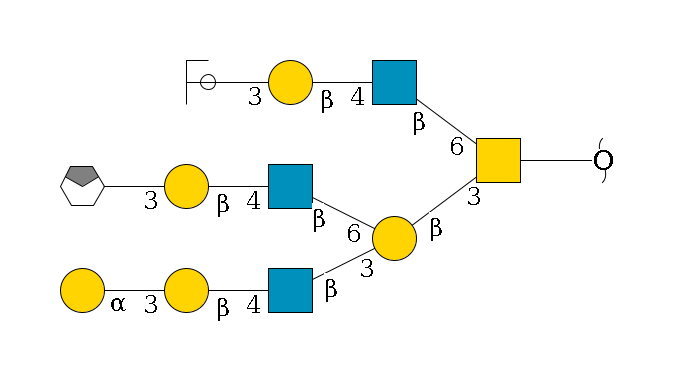 redEnd--??1D-GalNAc,p(--3b1D-Gal,p(--3b1D-GlcNAc,p--4b1D-Gal,p--3a1D-Gal,p)--6b1D-GlcNAc,p--4b1D-Gal,p--3a1D-Gal,p/#xcleavage_0_4)--6b1D-GlcNAc,p--4b1D-Gal,p--3a1D-Gal,p/#ycleavage$MONO,Und,-2H,0,redEnd