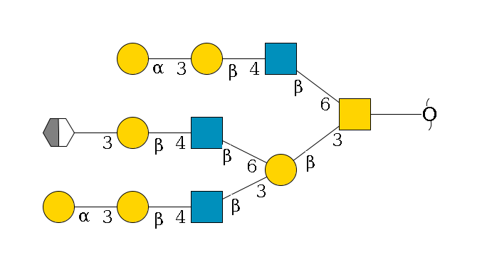redEnd--??1D-GalNAc,p(--3b1D-Gal,p(--3b1D-GlcNAc,p--4b1D-Gal,p--3a1D-Gal,p)--6b1D-GlcNAc,p--4b1D-Gal,p--3a1D-Gal,p/#xcleavage_2_5)--6b1D-GlcNAc,p--4b1D-Gal,p--3a1D-Gal,p$MONO,Und,-2H,0,redEnd