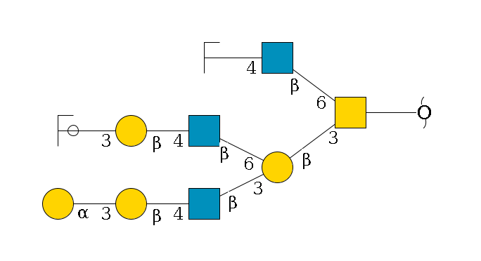 redEnd--??1D-GalNAc,p(--3b1D-Gal,p(--3b1D-GlcNAc,p--4b1D-Gal,p--3a1D-Gal,p)--6b1D-GlcNAc,p--4b1D-Gal,p--3a1D-Gal,p/#ycleavage)--6b1D-GlcNAc,p--4b1D-Gal,p/#zcleavage$MONO,Und,-2H,0,redEnd