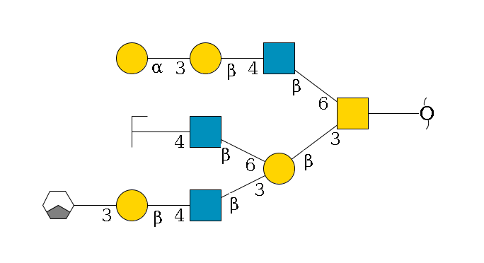redEnd--??1D-GalNAc,p(--3b1D-Gal,p(--3b1D-GlcNAc,p--4b1D-Gal,p--3a1D-Gal,p/#xcleavage_1_3)--6b1D-GlcNAc,p--4b1D-Gal,p/#zcleavage)--6b1D-GlcNAc,p--4b1D-Gal,p--3a1D-Gal,p$MONO,Und,-2H,0,redEnd