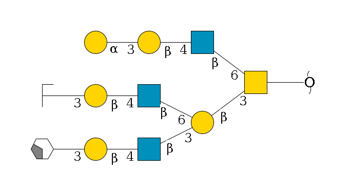 redEnd--??1D-GalNAc,p(--3b1D-Gal,p(--3b1D-GlcNAc,p--4b1D-Gal,p--3a1D-Gal,p/#xcleavage_2_4)--6b1D-GlcNAc,p--4b1D-Gal,p--3a1D-Gal,p/#zcleavage)--6b1D-GlcNAc,p--4b1D-Gal,p--3a1D-Gal,p$MONO,Und,-H,0,redEnd
