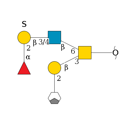 redEnd--??1D-GalNAc,p(--3b1D-Gal,p--2a1L-Fuc,p/#xcleavage_1_3)--6b1D-GlcNAc,p--3/4b1D-Gal,p(--3/6?1S)--2a1L-Fuc,p$MONO,Und,-H,0,redEnd