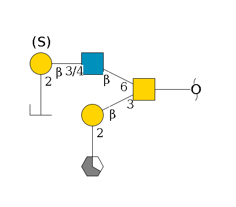 redEnd--??1D-GalNAc,p(--3b1D-Gal,p--2a1L-Fuc,p/#xcleavage_1_5)--6b1D-GlcNAc,p--3/4b1D-Gal,p(--3/6?1S/#lcleavage)--2a1L-Fuc,p/#zcleavage$MONO,Und,-H,0,redEnd