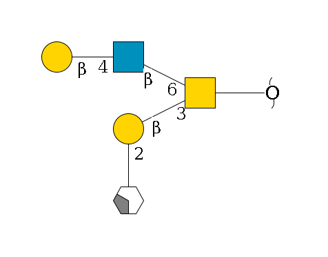 redEnd--??1D-GalNAc,p(--3b1D-Gal,p--2a1L-Fuc,p/#xcleavage_2_4)--6b1D-GlcNAc,p--4b1D-Gal,p$MONO,Und,-H,0,redEnd
