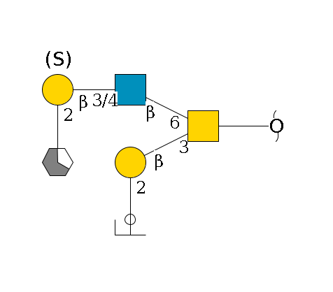 redEnd--??1D-GalNAc,p(--3b1D-Gal,p--2a1L-Fuc,p/#ycleavage)--6b1D-GlcNAc,p--3/4b1D-Gal,p(--3/6?1S/#lcleavage)--2a1L-Fuc,p/#xcleavage_1_5$MONO,Und,-H,0,redEnd