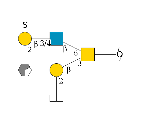 redEnd--??1D-GalNAc,p(--3b1D-Gal,p--2a1L-Fuc,p/#zcleavage)--6b1D-GlcNAc,p--3/4b1D-Gal,p(--3/6?1S)--2a1L-Fuc,p/#xcleavage_0_2$MONO,Und,-2H,0,redEnd