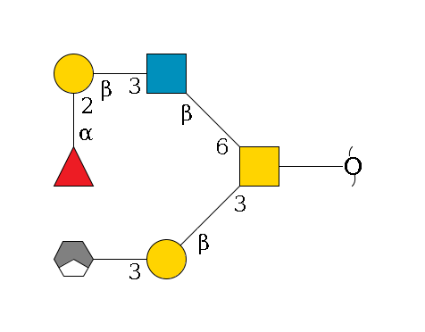 redEnd--??1D-GalNAc,p(--3b1D-Gal,p--3a2D-NeuAc,p/#xcleavage_1_3)--6b1D-GlcNAc,p--3b1D-Gal,p--2a1L-Fuc,p$MONO,Und,-H,0,redEnd