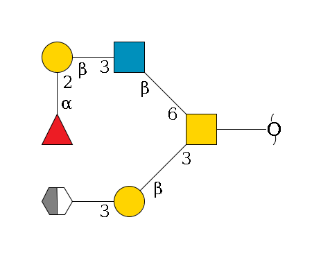 redEnd--??1D-GalNAc,p(--3b1D-Gal,p--3a2D-NeuAc,p/#xcleavage_2_5)--6b1D-GlcNAc,p--3b1D-Gal,p--2a1L-Fuc,p$MONO,Und,-H,0,redEnd