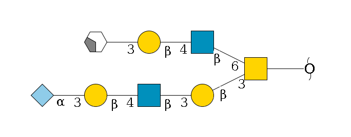 redEnd--??1D-GalNAc,p(--3b1D-Gal,p--3b1D-GlcNAc,p--4b1D-Gal,p--3a2D-NeuGc,p)--6b1D-GlcNAc,p--4b1D-Gal,p--3a1D-Gal,p/#xcleavage_2_4$MONO,Und,-H,0,redEnd