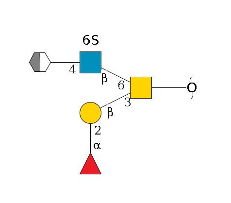 redEnd--??1D-GalNAc,p(--3b3D-Gal,p--2a1L-Fuc,p)--6b1D-GlcNAc,p(--4b1D-Gal,p/#xcleavage_2_5)--6?1S$MONO,Und,-H,0,redEnd