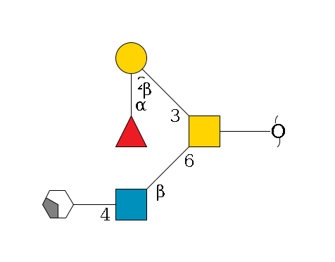 redEnd--??1D-GalNAc,p(--6b1D-GlcNAc,p--4b1D-Gal,p/#xcleavage_2_4)--3b1D-Gal,p--2a1L-Fuc,p$MONO,Und,-H,0,redEnd