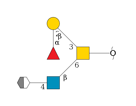 redEnd--??1D-GalNAc,p(--6b1D-GlcNAc,p--4b1D-Gal,p/#xcleavage_2_5)--3b1D-Gal,p--2a1L-Fuc,p$MONO,Und,-H,0,redEnd
