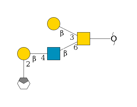 redEnd--??1D-GalNAc,p(--6b1D-GlcNAc,p--4b1D-Gal,p--2a1L-Fuc,p/#xcleavage_0_4)--3b1D-Gal,p$MONO,Und,-H,0,redEnd