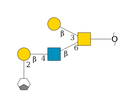 redEnd--??1D-GalNAc,p(--6b1D-GlcNAc,p--4b1D-Gal,p--2a1L-Fuc,p/#xcleavage_1_3)--3b1D-Gal,p$MONO,Und,-H,0,redEnd