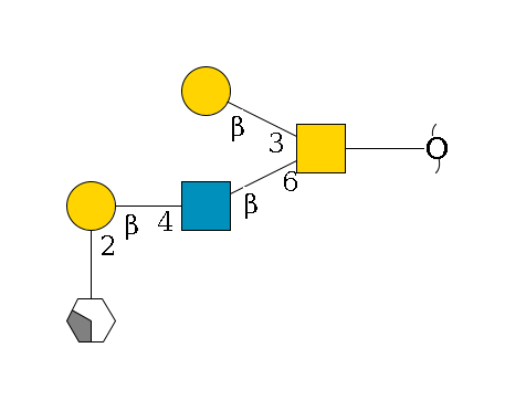 redEnd--??1D-GalNAc,p(--6b1D-GlcNAc,p--4b1D-Gal,p--2a1L-Fuc,p/#xcleavage_2_4)--3b1D-Gal,p$MONO,Und,-H,0,redEnd