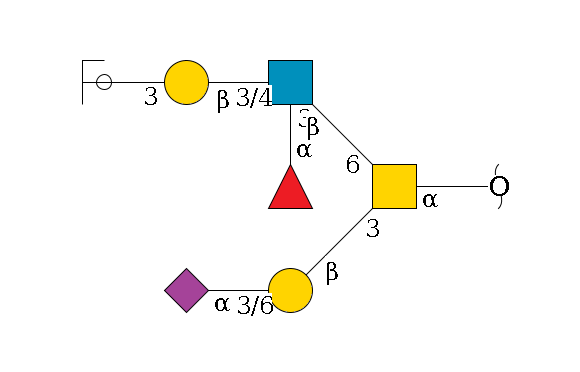 redEnd--?a1D-GalNAc,o(--3b1D-Gal,p--3/6a2D-NeuAc,p)--6b1D-GlcNAc,p(--3/4b1D-Gal,p--3a2D-NeuAc,p/#ycleavage)--3a1L-Fuc,p$MONO,Und,-H,0,redEnd