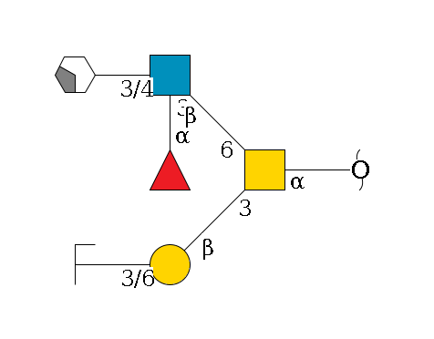 redEnd--?a1D-GalNAc,o(--3b1D-Gal,p--3/6a2D-NeuAc,p/#zcleavage)--6b1D-GlcNAc,p(--3/4b1D-Gal,p/#xcleavage_2_4)--3a1L-Fuc,p$MONO,Und,-2H,0,redEnd