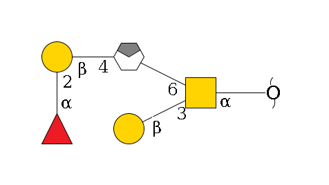 redEnd--?a1D-GalNAc,p(--3b1D-Gal,p)--6b1D-GlcNAc,p/#xcleavage_0_4--4b1D-Gal,p--2a1L-Fuc,p$MONO,Und,-H,0,redEnd