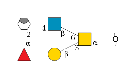 redEnd--?a1D-GalNAc,p(--3b1D-Gal,p)--6b1D-GlcNAc,p--4b1D-Gal,p/#xcleavage_0_4--2a1L-Fuc,p$MONO,Und,-H,0,redEnd