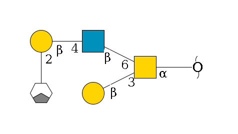 redEnd--?a1D-GalNAc,p(--3b1D-Gal,p)--6b1D-GlcNAc,p--4b1D-Gal,p--2a1L-Fuc,p/#xcleavage_1_3$MONO,Und,-H,0,redEnd