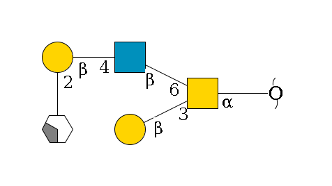 redEnd--?a1D-GalNAc,p(--3b1D-Gal,p)--6b1D-GlcNAc,p--4b1D-Gal,p--2a1L-Fuc,p/#xcleavage_2_4$MONO,Und,-H,0,redEnd